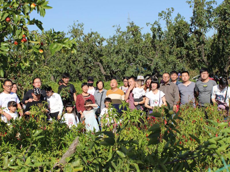 集團(tuán)公司舉行迎國慶采摘活動(dòng)
